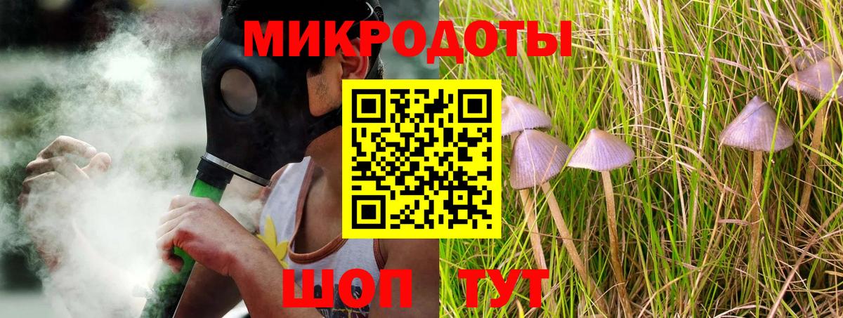 Кострома  Псилоцибиновые грибы Psilocybe  Вход с VPN 